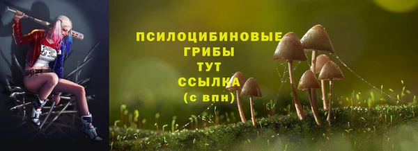 COCAINE Гусиноозёрск