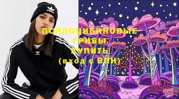 мяу мяу кристалл Гусь-Хрустальный