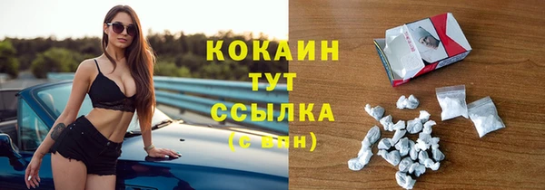 мяу мяу кристалл Гусь-Хрустальный