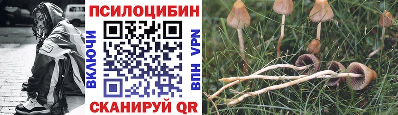 Галлюциногенные грибы Magic Shrooms  где найти наркотики  Дятьково 