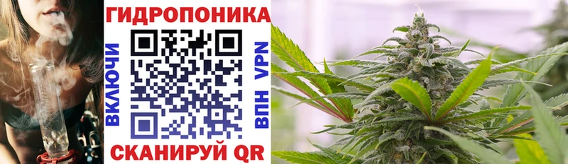 МАРИХУАНА гибрид  Дятьково 